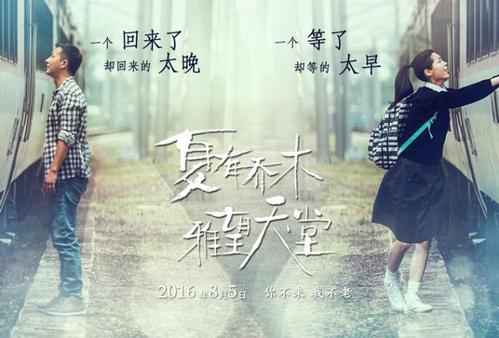 筑波大学金融文凭证书
